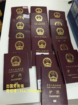 金華出國勞務派遣 助力海外援建與農業發展的就業新機遇