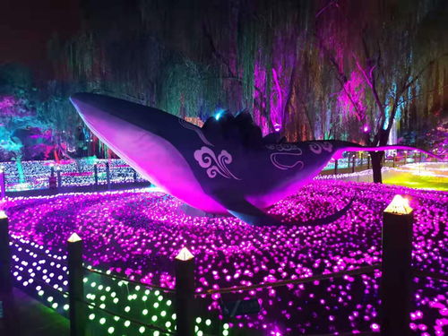 北京朝陽區勞務外包與業務外包勞務派遣服務新動態